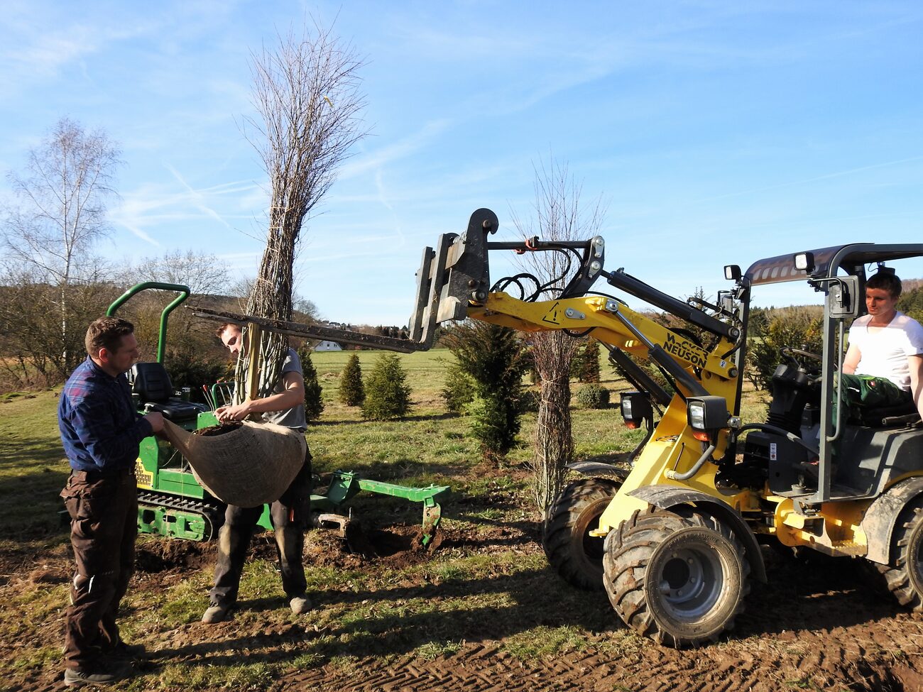 Mitarbeiter der Kewel Baumschulen verladen einen Baum mit Wurzelballen per Radlader auf dem Feld
